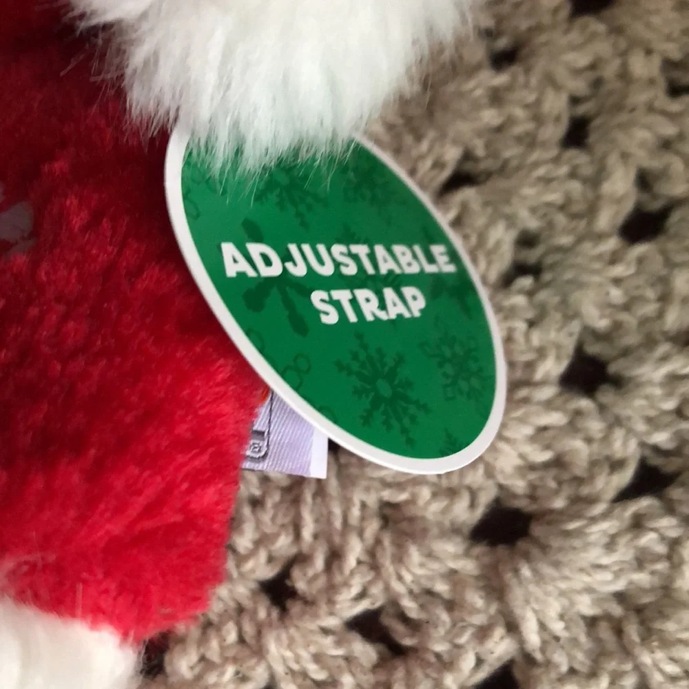 Christmas Holiday Santa Dog Hat
